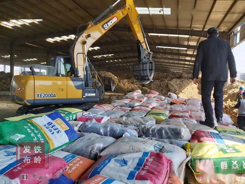 我市集中銷毀8萬斤假劣種子，強(qiáng)化農(nóng)作物種子市場監(jiān)管