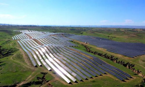 農(nóng)作物種子經(jīng)營 國內(nèi)政策優(yōu)化與市場發(fā)展新趨勢