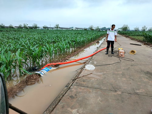 中國農(nóng)業(yè)科學(xué)院作物科學(xué)研究所農(nóng)作物種子經(jīng)營 科技創(chuàng)新與產(chǎn)業(yè)服務(wù)